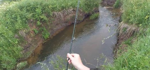 Рыбалка на лесной МИКРОРЕЧКЕ