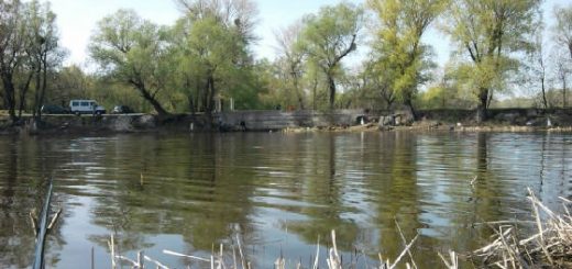 Рыбалка на крупного карася весной на заливах реки Днепр