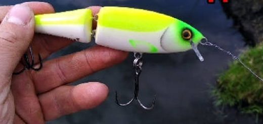 Копия Rapala BX Swimmer