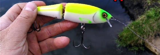 Копия Rapala BX Swimmer