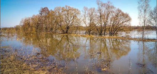 Разлив Оки и притоков