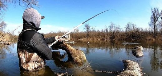 Рыбалка на карася в заливе Днепра в затопленном коряжнике