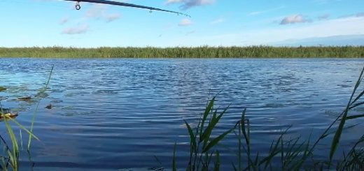 Рыбалка в городе на поплавок