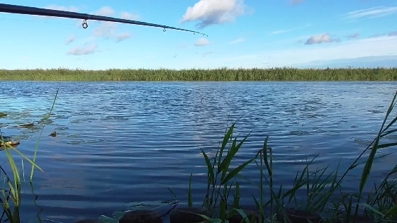 Рыбалка в городе на поплавок