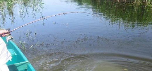 Рыбалка по Мутной Воде