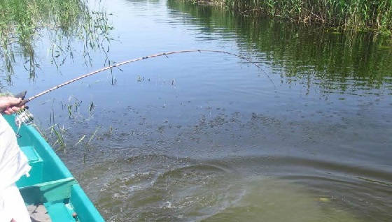 Рыбалка по Мутной Воде