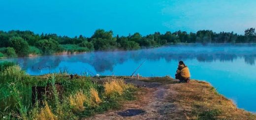 Рыбалка на Донку в Деревенском Парке