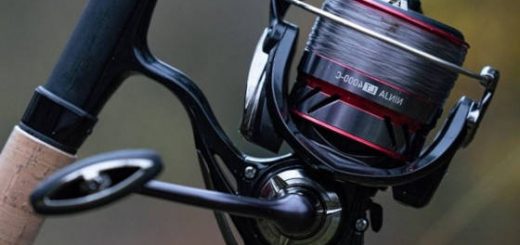 DAIWA NINJA LT