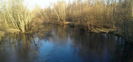 В поисках Волжского судака в половодье