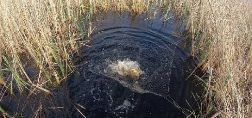 Рыбалка на Паук на Болотной Трубе