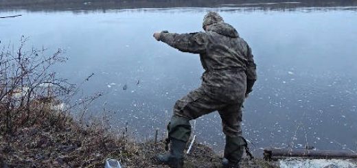 Ставим донки на налима