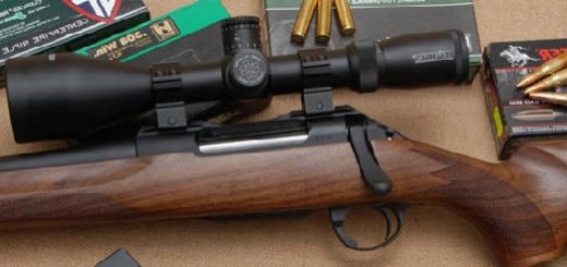 Sabatti SAPHIRE 308