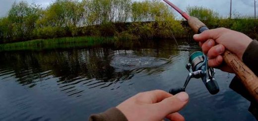 Ловля рыбы в мае на реке