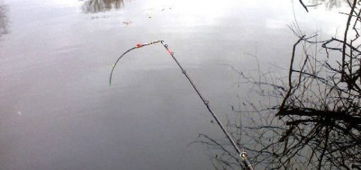 РЫБАЛКА В МИКРОРЕЧКЕ НА ПОПЛАВОК И БОКОВОЙ КИВОК