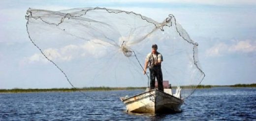 Рыбалка на кастинговую сеть американку