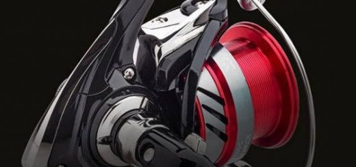 DAIWA NINJA LT