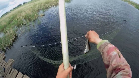 Рыбалка на паук на самодельном мосту