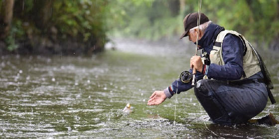 Рыбалка летом в дождь