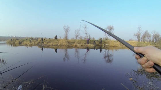 Рыбалка на Днестре