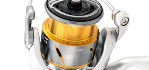 Daiwa Freams 21 LT