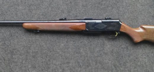 Browning BAR 300WM