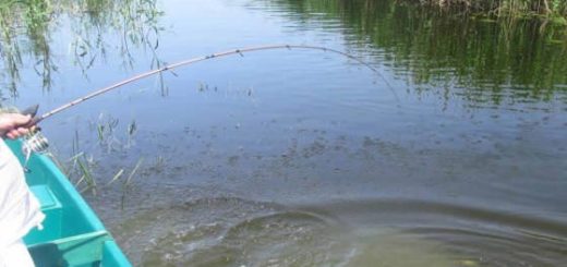 Рыбалка на Спиннинг по Мутной Воде