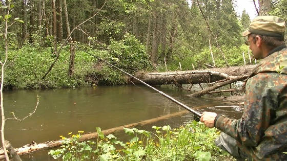 Рыбалка на небольшой таёжной речке