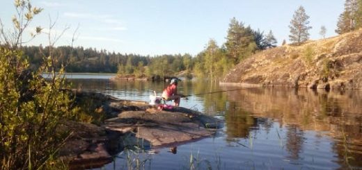 Рыбалка в Ленинградской области
