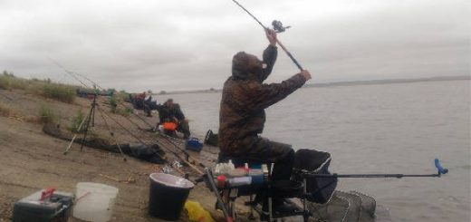 Рыбалка в Волгограде: Ловля на фидер
