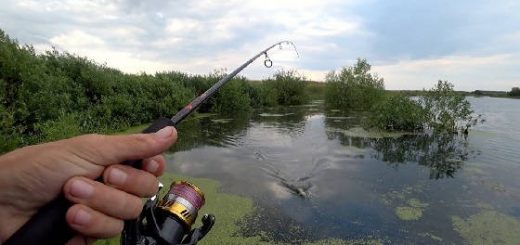 Рыбалка на спиннинг летом