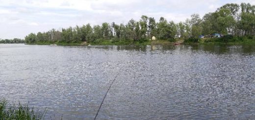 Рыбалка на фидер под Киевом на Десне