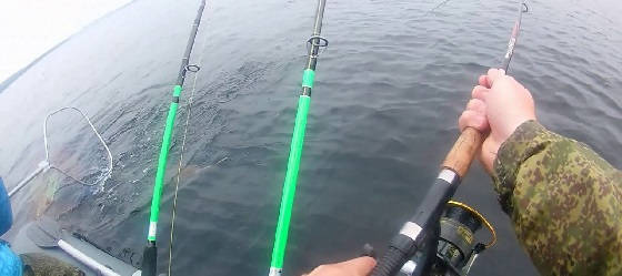 Рыбалка на Спиннинги на Острове Невезения