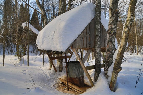 Кормушка для кабанов