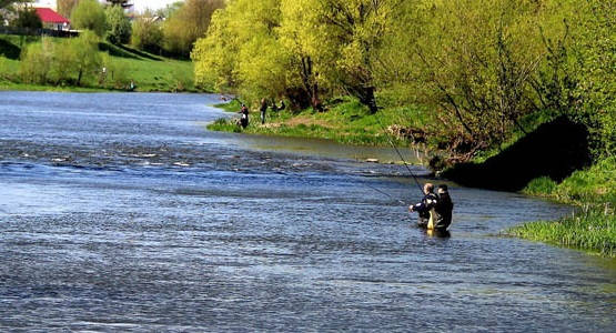 ловля рыбы на реке в конце лета