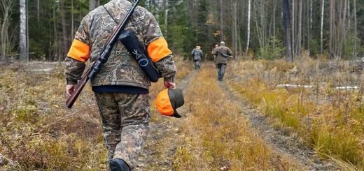 Основы безопасной охоты
