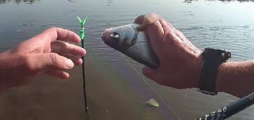 Рыбалка на ФИДЕР и ДОНКУ в сентябре