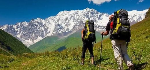 Треккинговые палки в походе