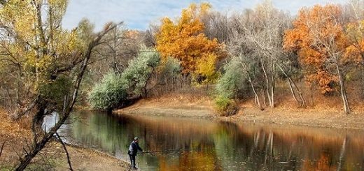 Как ЛОВИТЬ на ПОПЛАВОК ОСЕНЬЮ