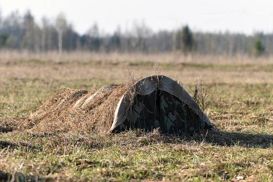 ЛЕЖАЧИЙ СКРАДОК