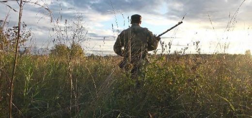 Охота в Республике Коми на утку с подхода
