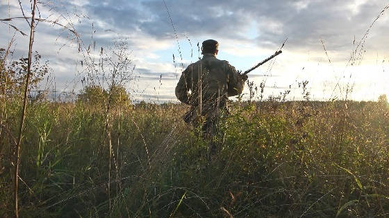 Охота в Республике Коми на утку с подхода