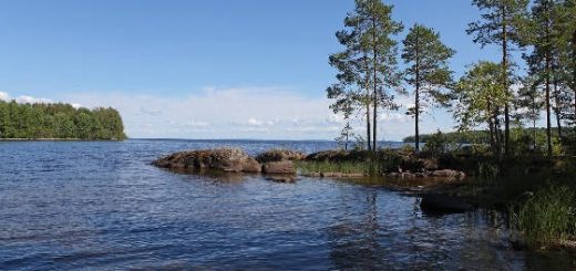 Рыбалка в Карелии на озере Онего