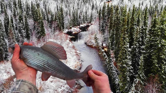 Таёжная Рыбалка на Зимовье