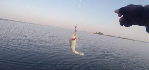 Ловля Судака на Яузе