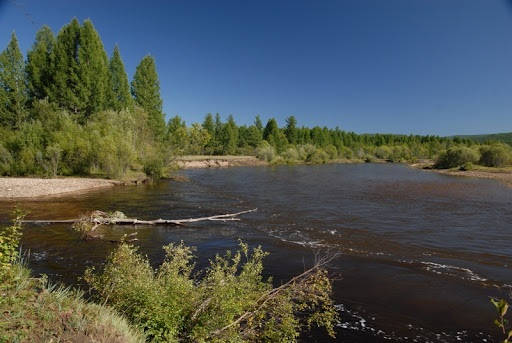 За хариусом и ленком в дебри Сибири