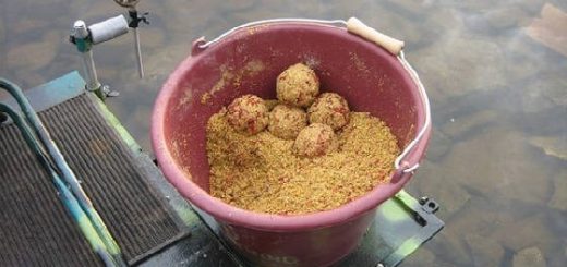Народная прикормка для рыбалки осенью и весной