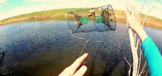 Рыбалка на Морды