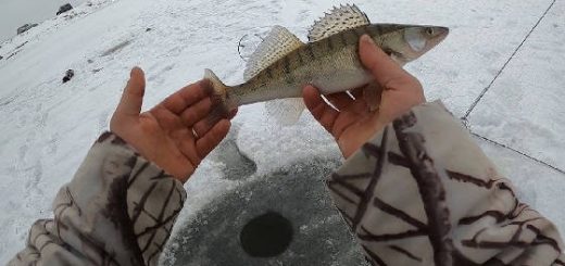 Рыбалка на хапуги по первому льду