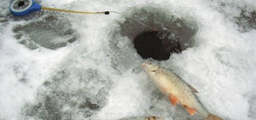 Хитрая оснастка удочки для зимней рыбалки