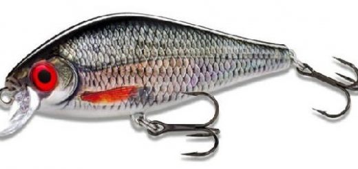 Rapala predator bait